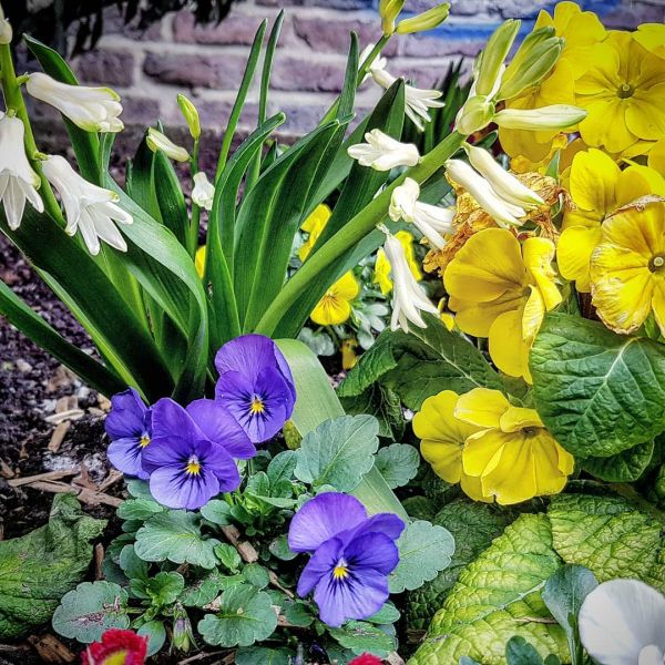 Insta-Foto aus 05.2293