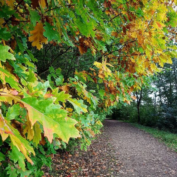 Insta-Foto aus 24.1218