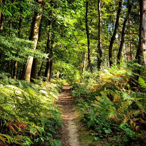 Insta-Foto aus 23.3437