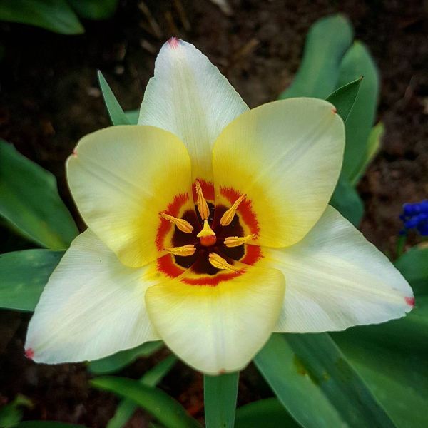 Insta-Foto aus 56.9738