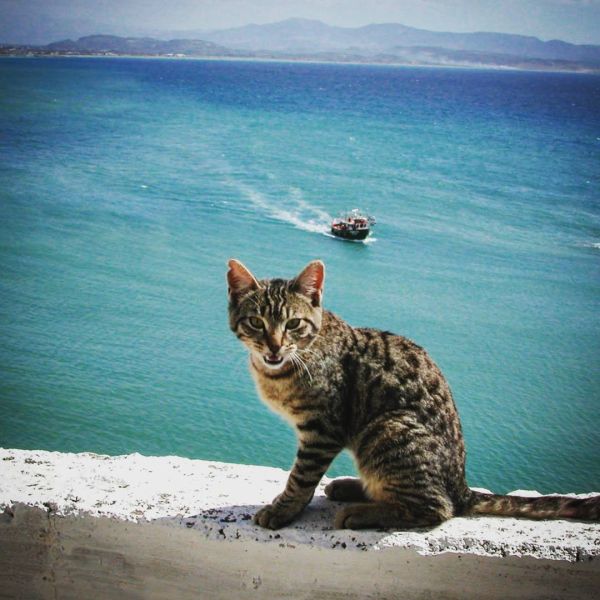 Insta-Foto aus 35.1704