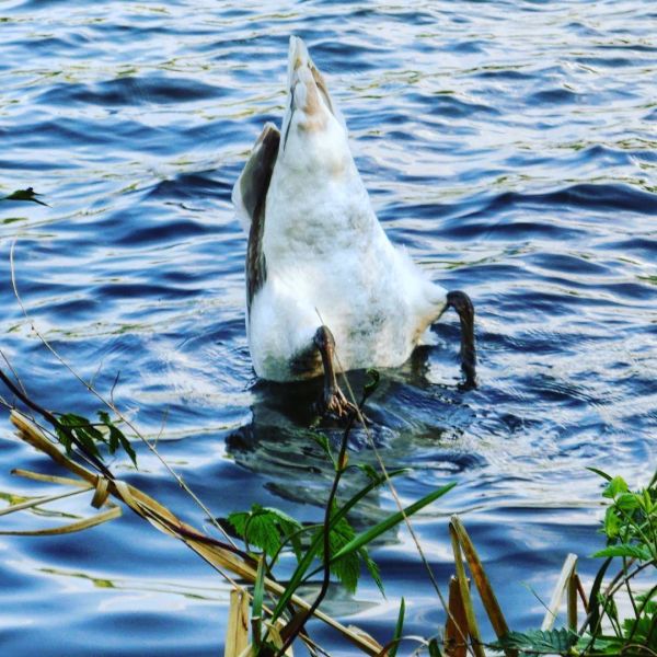 Insta-Foto aus 88.1534