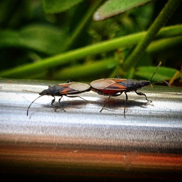 Insta-Foto aus 72.3430