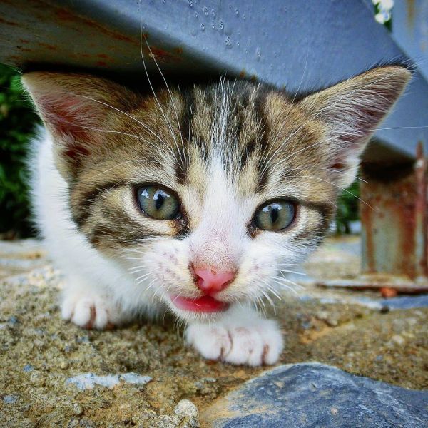 Insta-Foto aus 15.1702