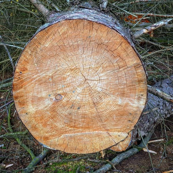 Insta-Foto aus 23.7089