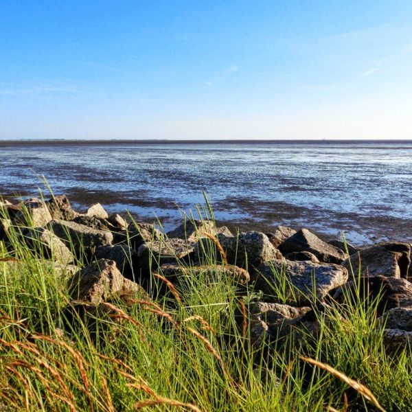 Insta-Foto aus 63.5441