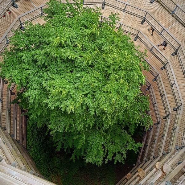 Insta-Foto aus 19.2533