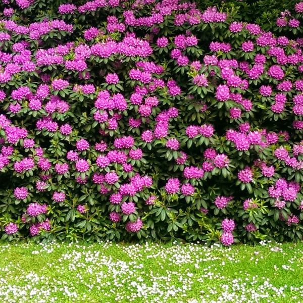 Insta-Foto aus 55.1115