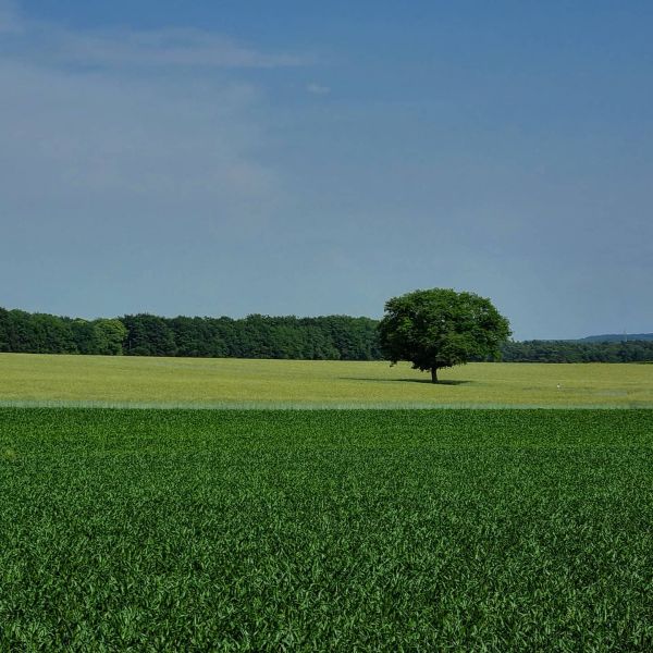 Insta-Foto aus 65.1557