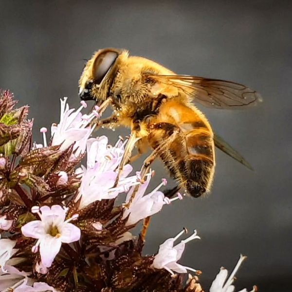 Insta-Foto aus 56.7158