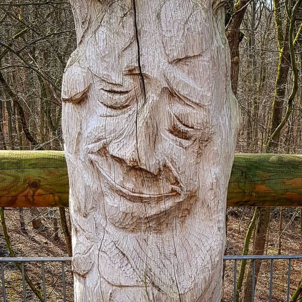 Insta-Foto aus 79.4305