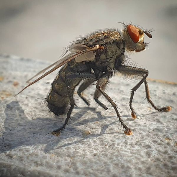 Insta-Foto aus 30.4498