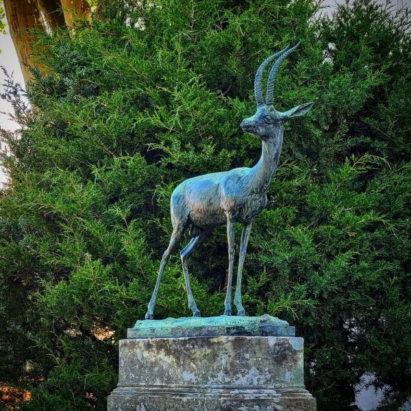 Insta-Foto aus 31.7709