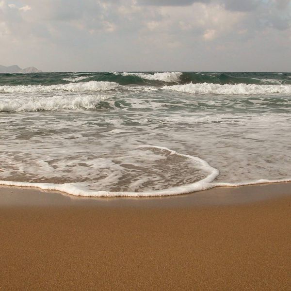 Insta-Foto aus 79.1111