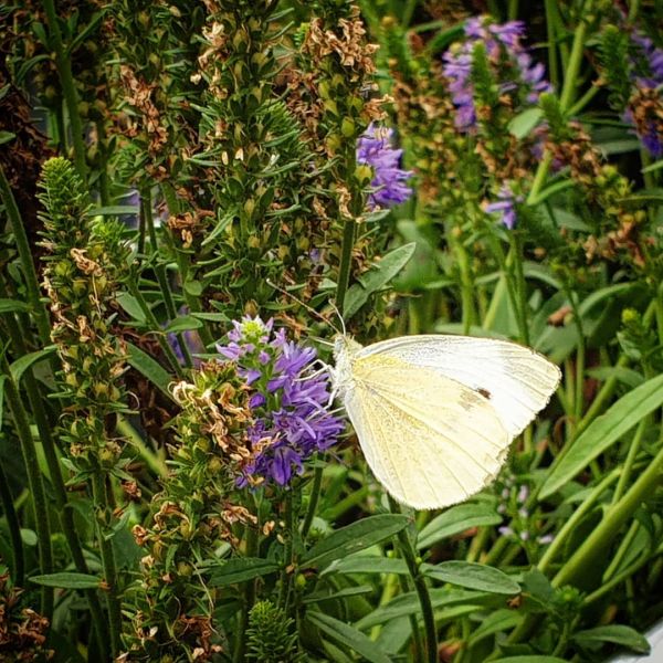 Insta-Foto aus 39.3614