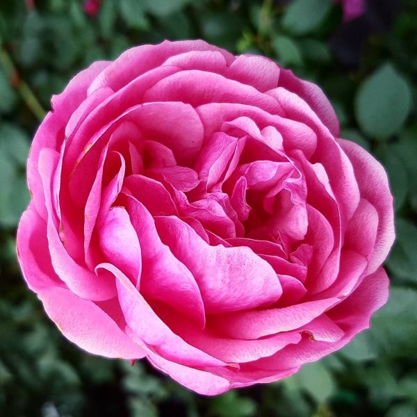 Insta-Foto aus 91.1643