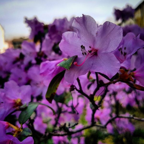 Insta-Foto aus 75.1888