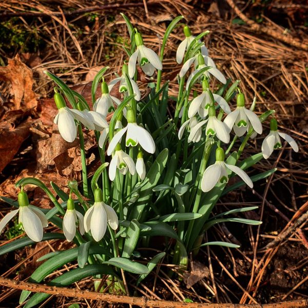 Insta-Foto aus 53.2294