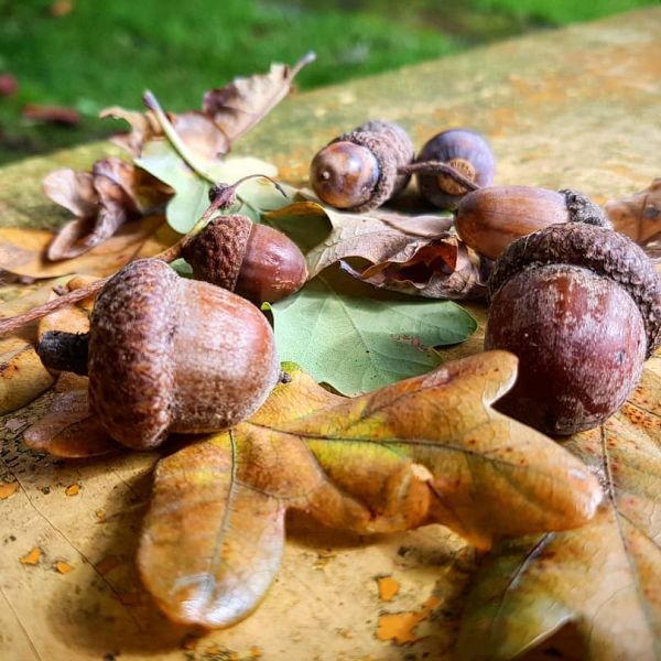 Insta-Foto aus 79.7290