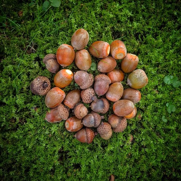 Insta-Foto aus 88.4623