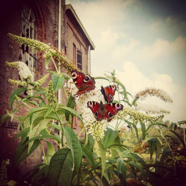 Insta-Foto aus 60.1012