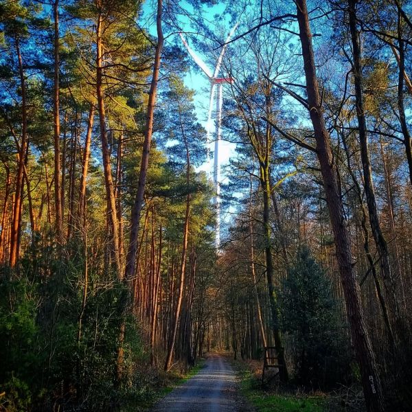 Insta-Foto aus 34.4878