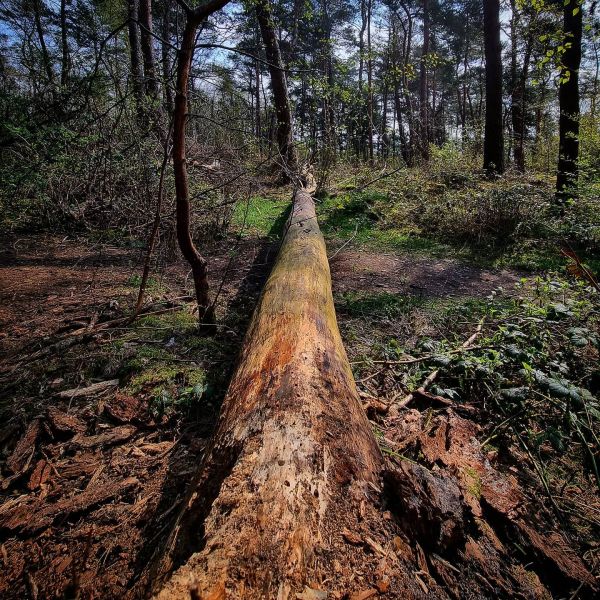 Insta-Foto aus 29.4977