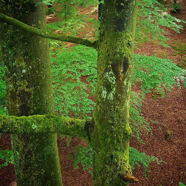 Insta-Foto aus 71.1168