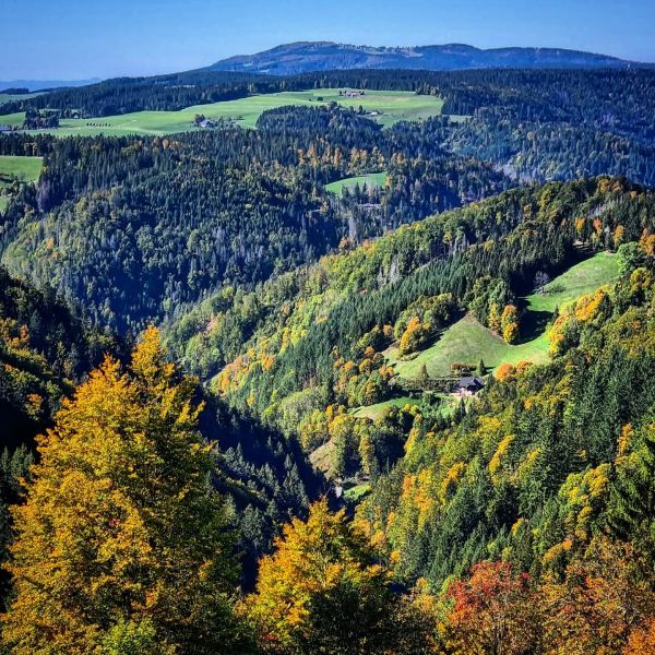 Insta-Foto aus 44.8309