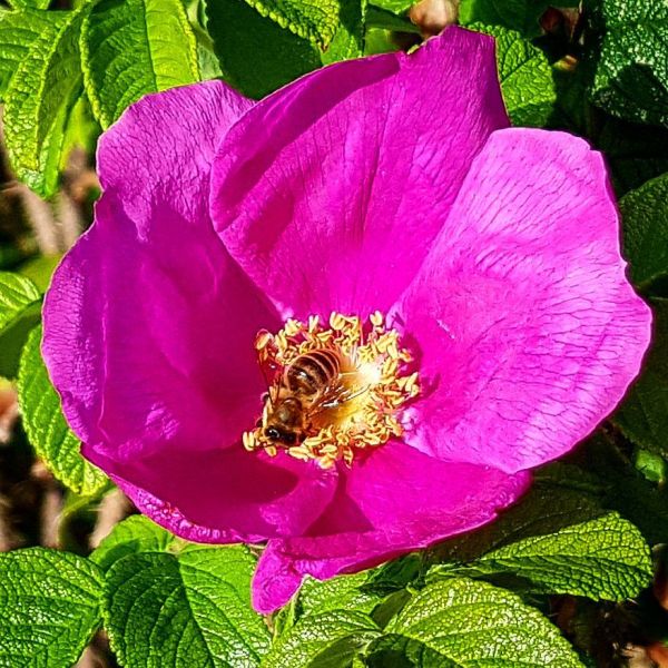 Insta-Foto aus 57.2277