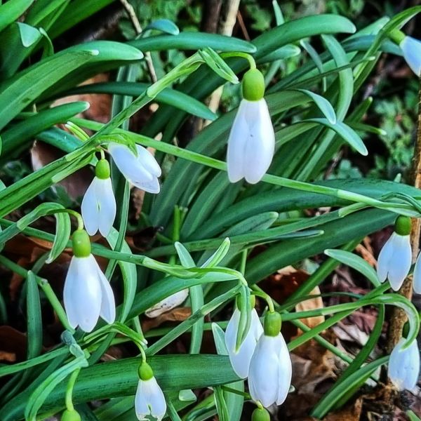 Insta-Foto aus 15.3061