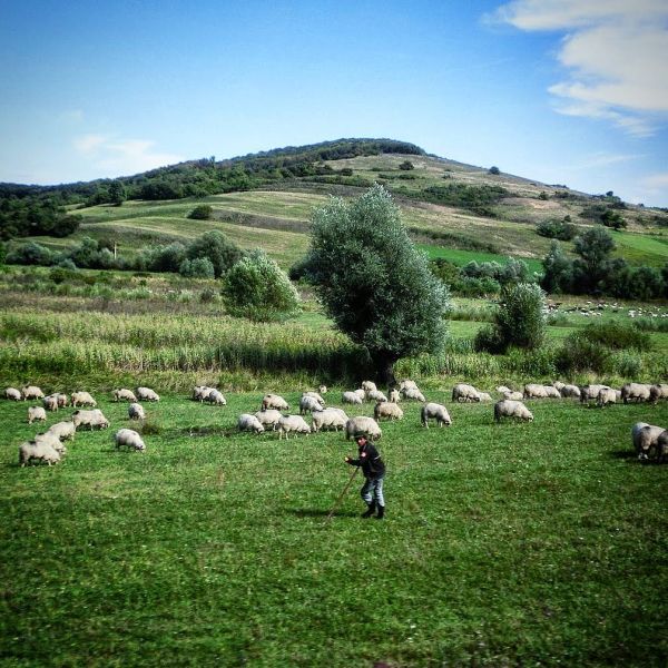 Insta-Foto aus 82.1212