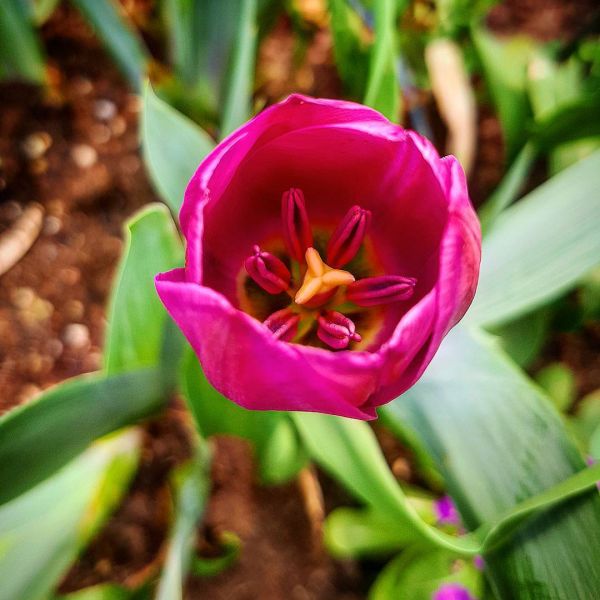 Insta-Foto aus 09.1241