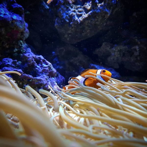 Insta-Foto aus 14.7262