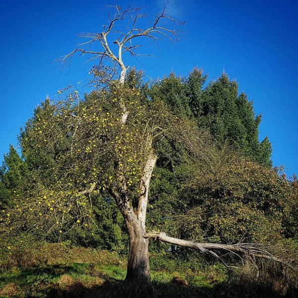 Insta-Foto aus 88.1320