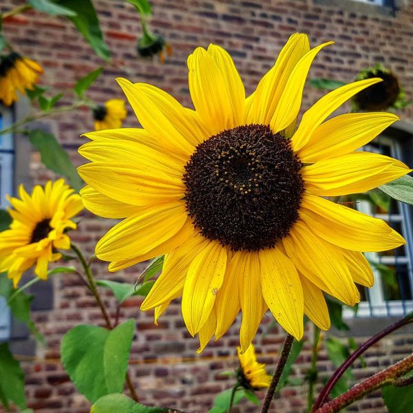 Insta-Foto aus 35.1473