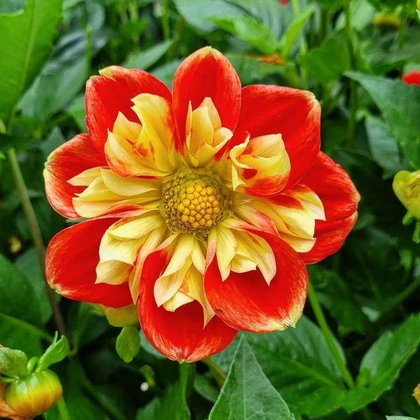 Insta-Foto aus 64.4288