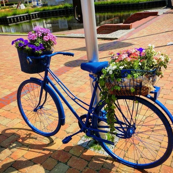 Insta-Foto aus 66.1998