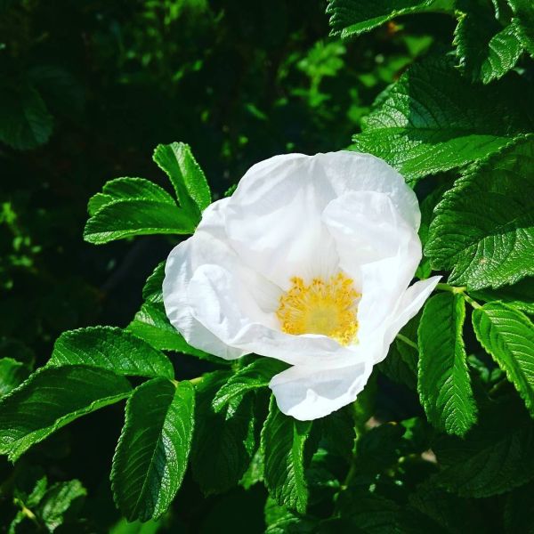 Insta-Foto aus 70.2438