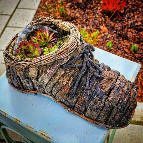 Insta-Foto aus 66.7384