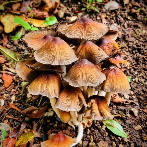 Insta-Foto aus 36.1969