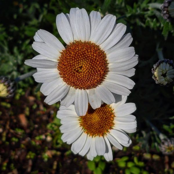 Insta-Foto aus 46.1849