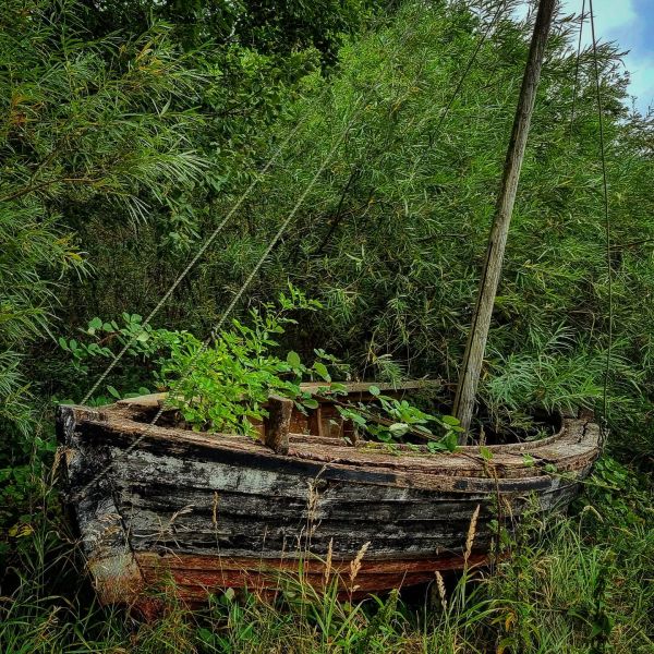 Insta-Foto aus 82.3133