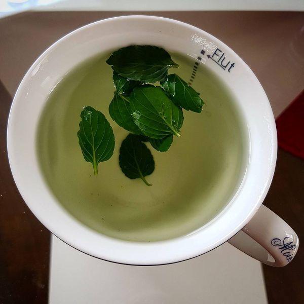 Insta-Foto aus 00.1392