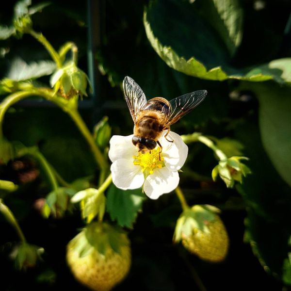 Insta-Foto aus 50.1723