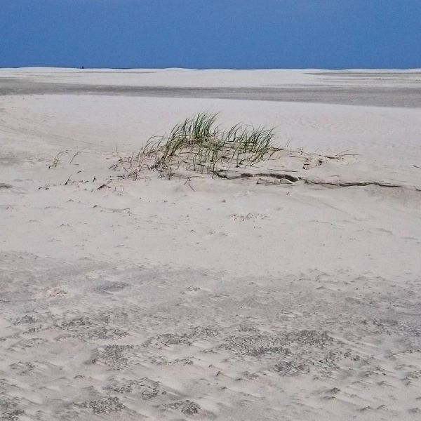 Insta-Foto aus 83.2623