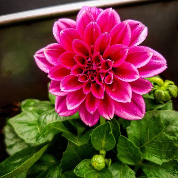 Insta-Foto aus 14.4446