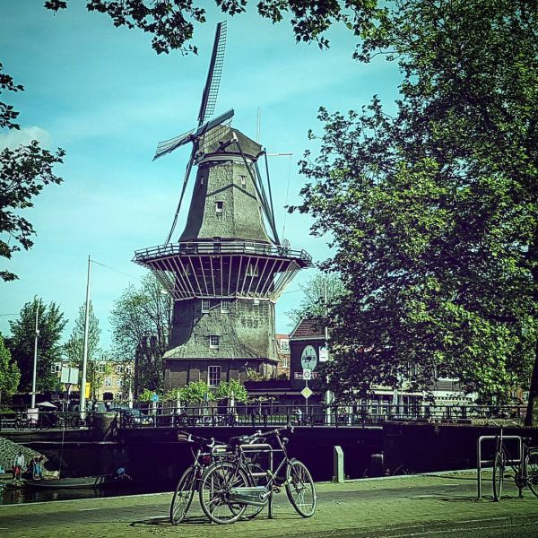 Insta-Foto aus 99.1684