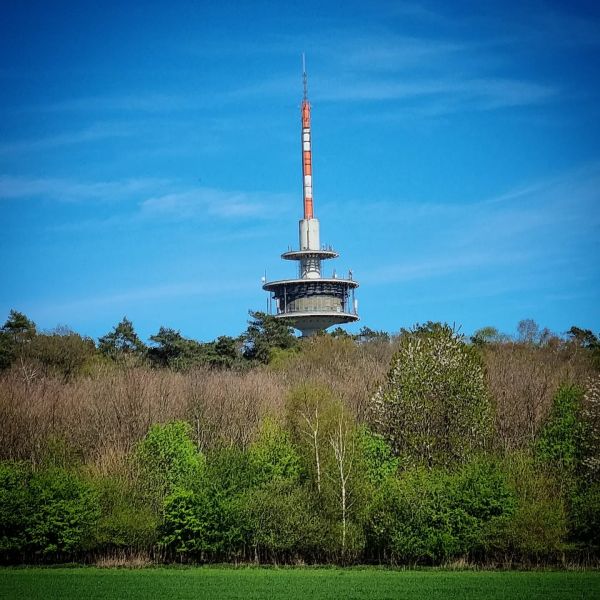 Insta-Foto aus 07.4557