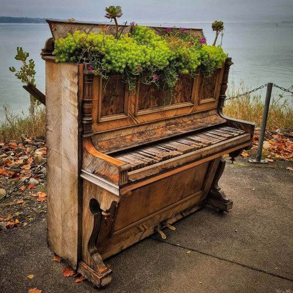 Insta-Foto aus 83.1926